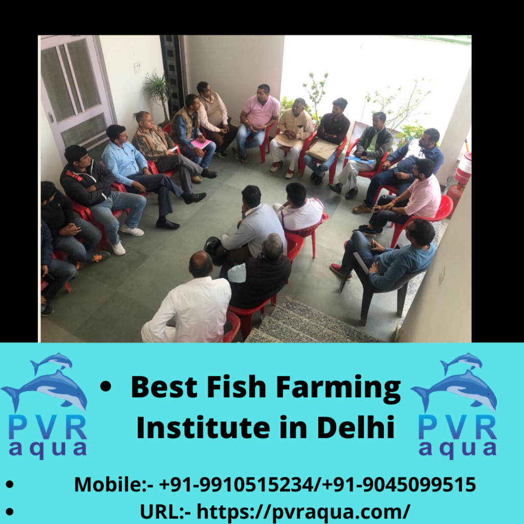 PVR Aqua - Fish Farming Institute