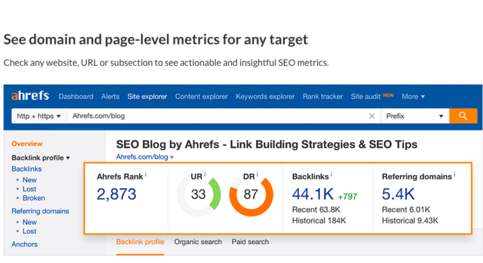 Why should you use an SEO tool for your blog growth