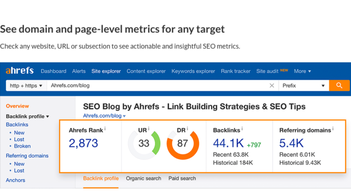 Why should you use an SEO tool for your blog growth